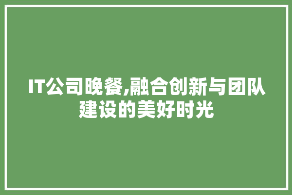 IT公司晚餐,融合创新与团队建设的美好时光
