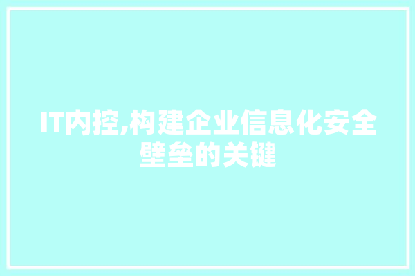 IT内控,构建企业信息化安全壁垒的关键 智能助手