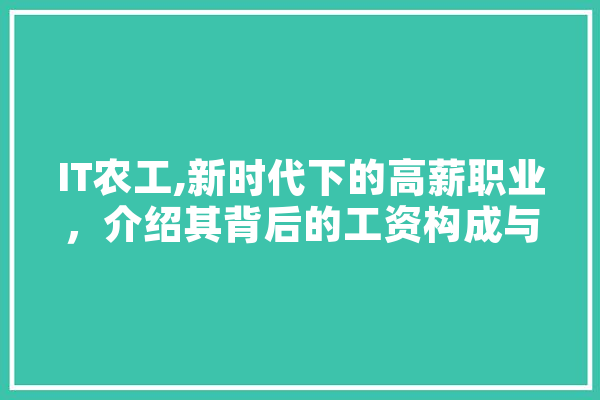 IT农工,新时代下的高薪职业，介绍其背后的工资构成与未来发展趋势