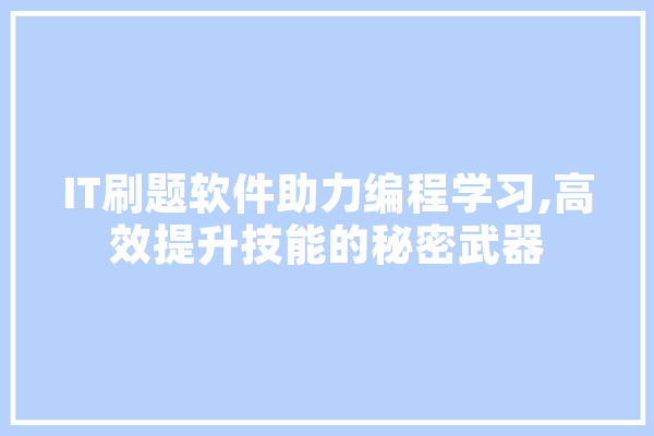 IT刷题软件助力编程学习,高效提升技能的秘密武器