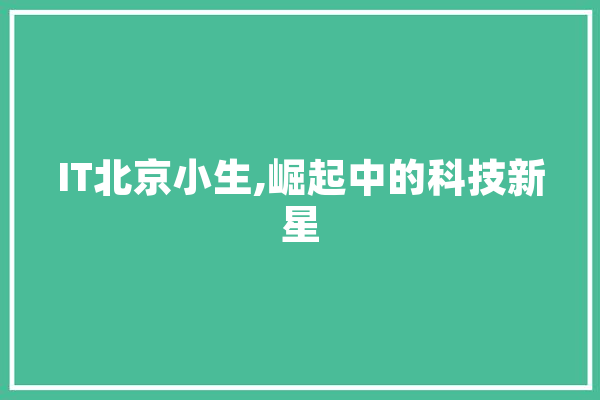 IT北京小生,崛起中的科技新星