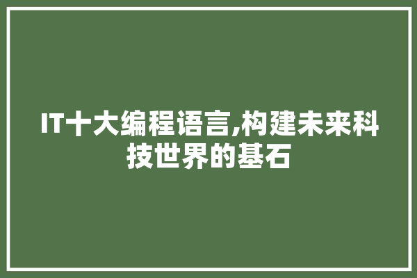 IT十大编程语言,构建未来科技世界的基石