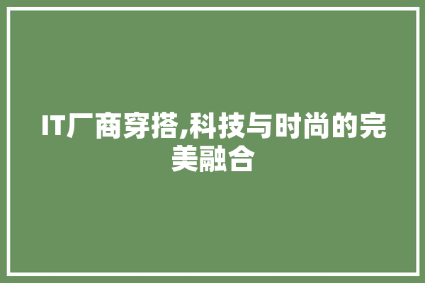 IT厂商穿搭,科技与时尚的完美融合