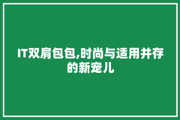 IT双肩包包,时尚与适用并存的新宠儿