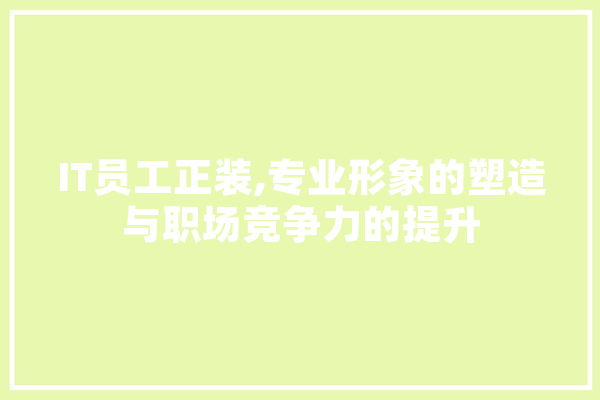 IT员工正装,专业形象的塑造与职场竞争力的提升