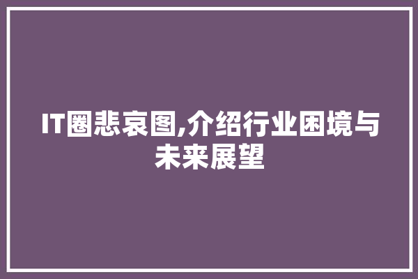 IT圈悲哀图,介绍行业困境与未来展望
