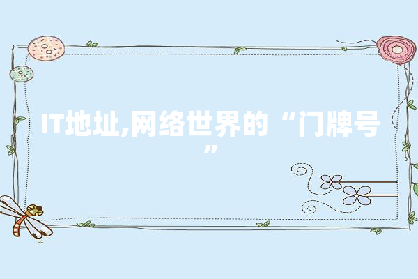 IT地址,网络世界的“门牌号”