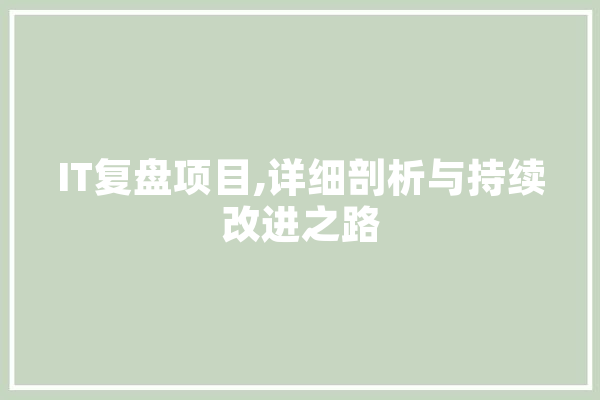 IT复盘项目,详细剖析与持续改进之路