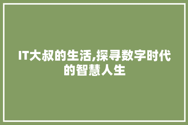IT大叔的生活,探寻数字时代的智慧人生