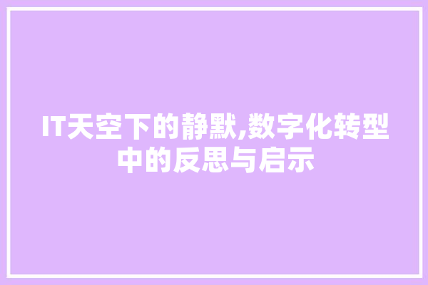 IT天空下的静默,数字化转型中的反思与启示