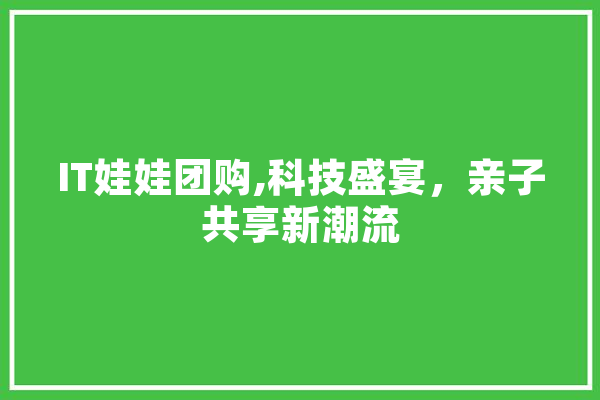 IT娃娃团购,科技盛宴，亲子共享新潮流