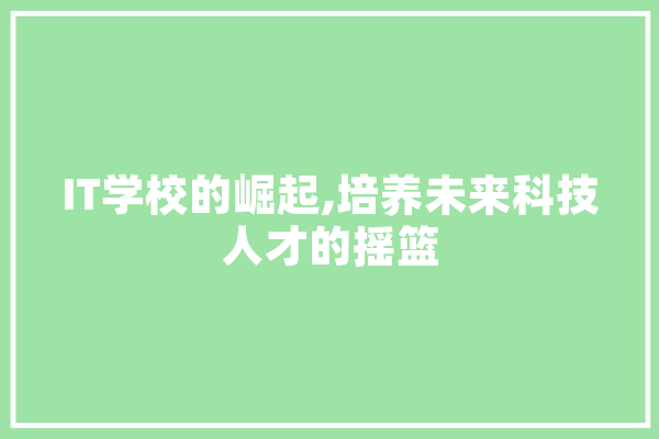 IT学校的崛起,培养未来科技人才的摇篮