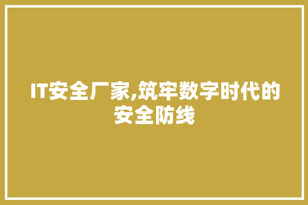 IT安全厂家,筑牢数字时代的安全防线 计算机