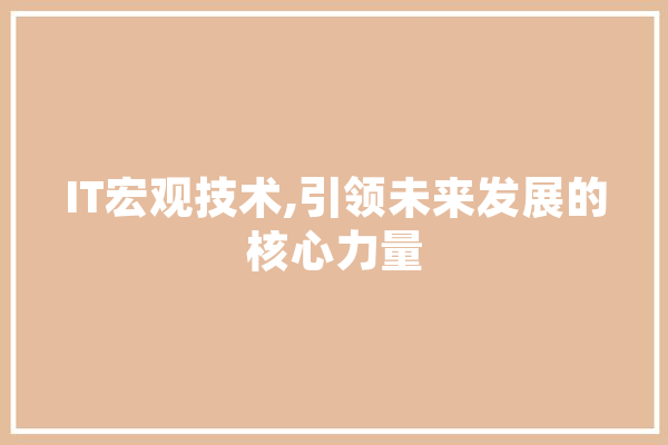IT宏观技术,引领未来发展的核心力量