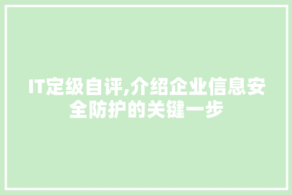 IT定级自评,介绍企业信息安全防护的关键一步