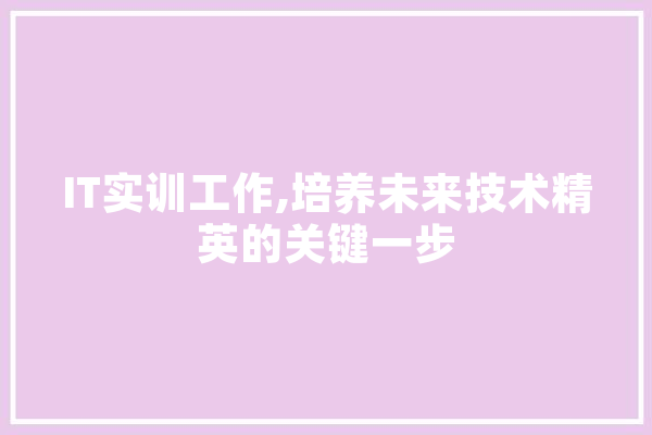 IT实训工作,培养未来技术精英的关键一步