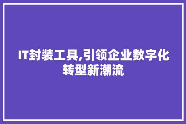 IT封装工具,引领企业数字化转型新潮流
