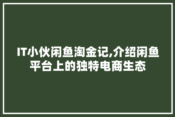 IT小伙闲鱼淘金记,介绍闲鱼平台上的独特电商生态