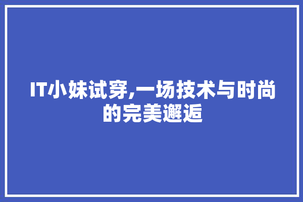 IT小妹试穿,一场技术与时尚的完美邂逅