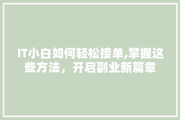 IT小白如何轻松接单,掌握这些方法，开启副业新篇章