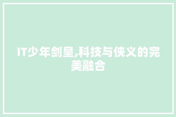 IT少年剑皇,科技与侠义的完美融合