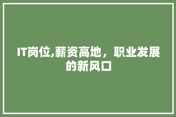 IT岗位,薪资高地，职业发展的新风口 绘影字幕