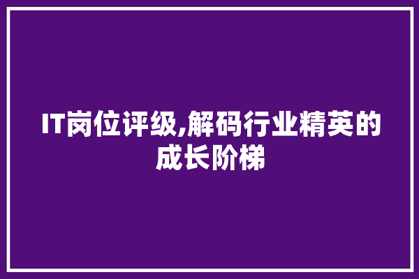 IT岗位评级,解码行业精英的成长阶梯 绘影字幕