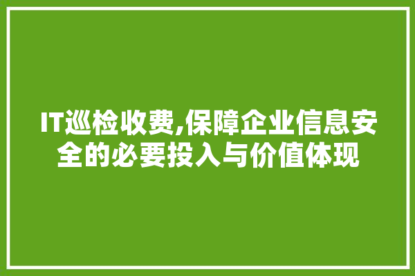 IT巡检收费,保障企业信息安全的必要投入与价值体现