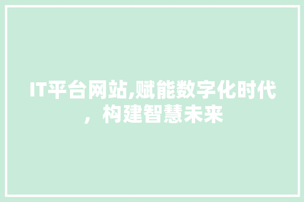 IT平台网站,赋能数字化时代，构建智慧未来
