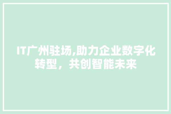 IT广州驻场,助力企业数字化转型，共创智能未来