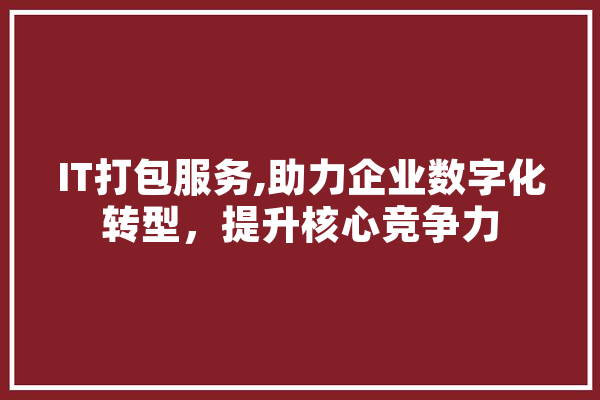 IT打包服务,助力企业数字化转型，提升核心竞争力