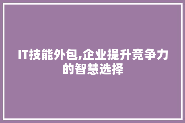 IT技能外包,企业提升竞争力的智慧选择