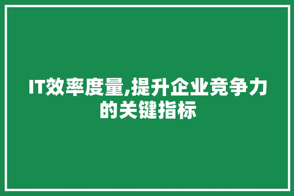 IT效率度量,提升企业竞争力的关键指标