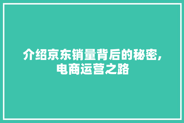 介绍京东销量背后的秘密,电商运营之路