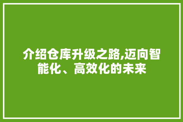 介绍仓库升级之路,迈向智能化、高效化的未来