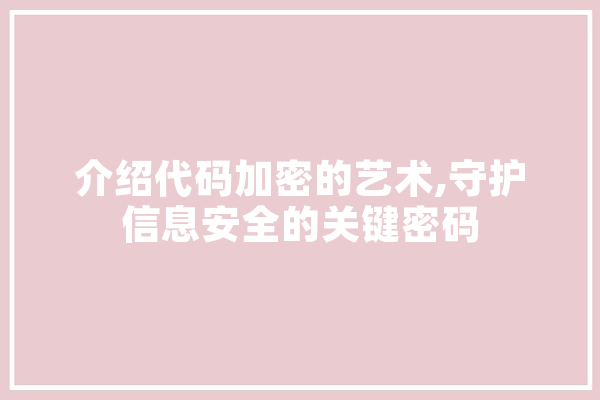 介绍代码加密的艺术,守护信息安全的关键密码