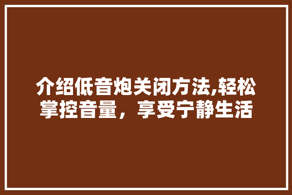 介绍低音炮关闭方法,轻松掌控音量，享受宁静生活 智能助手
