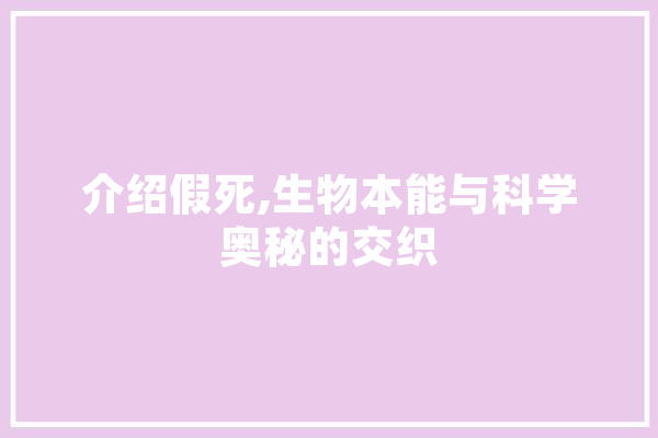 介绍假死,生物本能与科学奥秘的交织 云服务