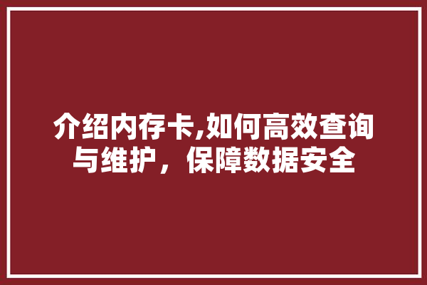 介绍内存卡,如何高效查询与维护，保障数据安全 AI快讯