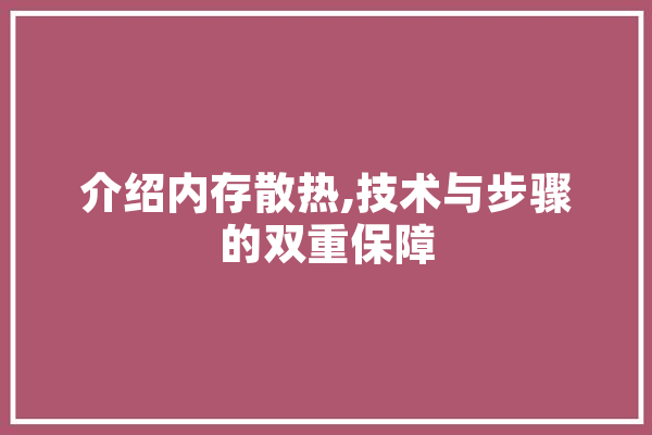 介绍内存散热,技术与步骤的双重保障