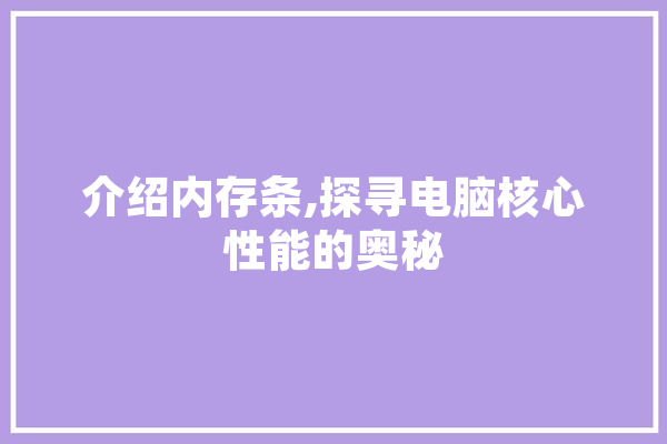 介绍内存条,探寻电脑核心性能的奥秘