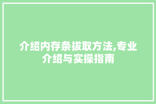 介绍内存条拔取方法,专业介绍与实操指南