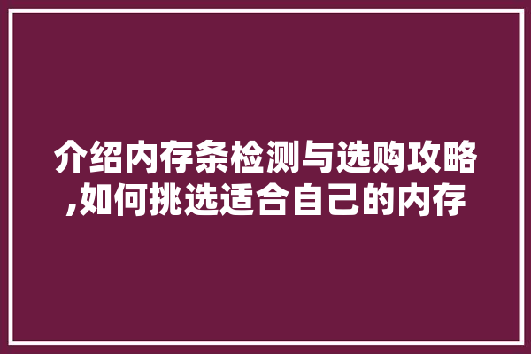 介绍内存条检测与选购攻略,如何挑选适合自己的内存条