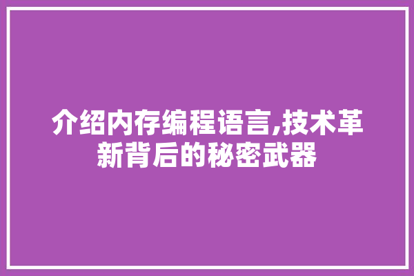 介绍内存编程语言,技术革新背后的秘密武器 科技快讯