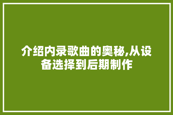 介绍内录歌曲的奥秘,从设备选择到后期制作