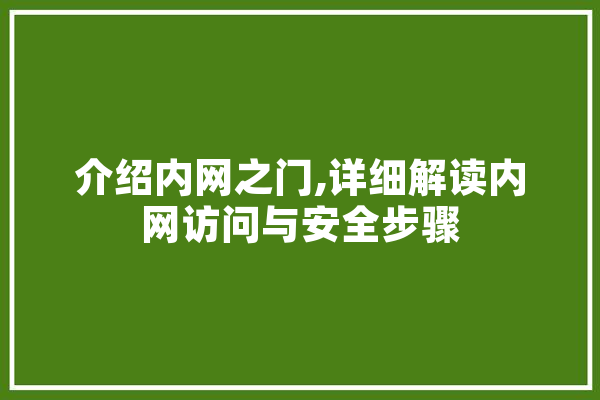 介绍内网之门,详细解读内网访问与安全步骤