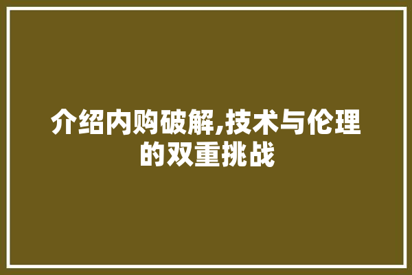 介绍内购破解,技术与伦理的双重挑战