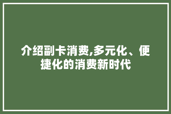 介绍副卡消费,多元化、便捷化的消费新时代