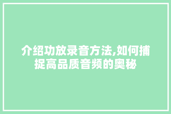 介绍功放录音方法,如何捕捉高品质音频的奥秘