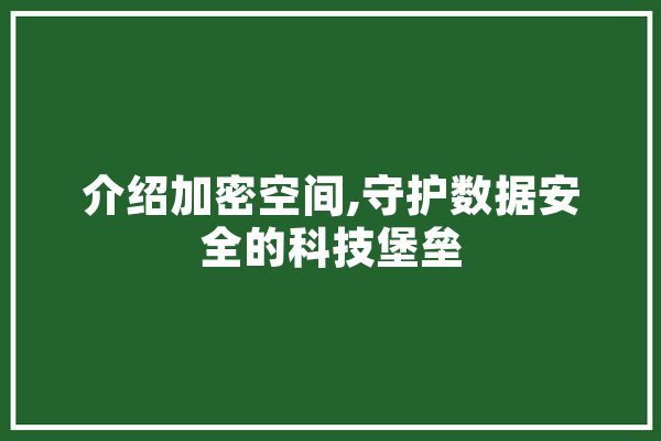 介绍加密空间,守护数据安全的科技堡垒
